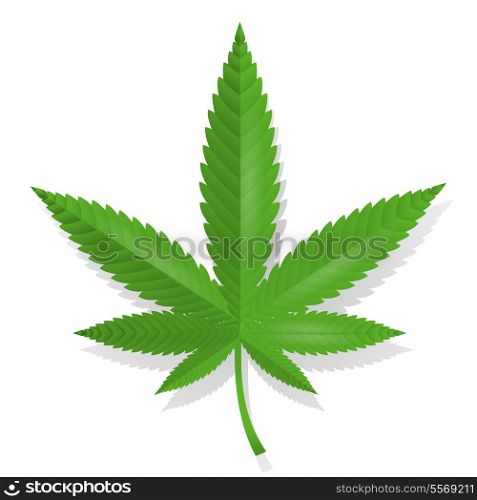 Cannabis leaf medcial icon isolated vector illustration