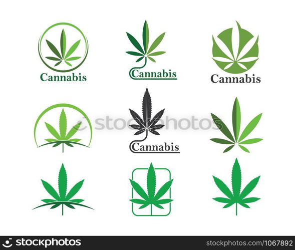 cannabis leaf vector icon illustration design template