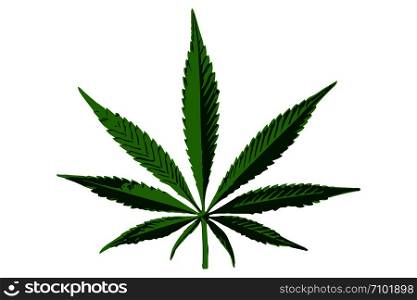 Cannabis leaf vector icon. Vector illustration EPS10. Cannabis leaf vector icon. Vector illustration