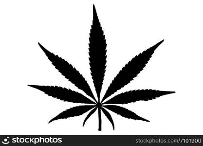 Cannabis leaf vector icon. Vector illustration EPS10. Cannabis leaf vector icon. Vector illustration