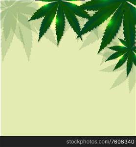 Cannabis leaves background. Vector illustration EPS10. Cannabis leaves background. Vector illustration