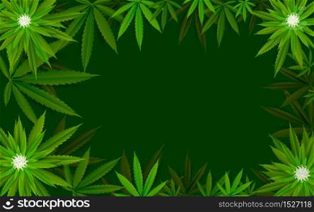 Cannabis marijuana design graphics background
