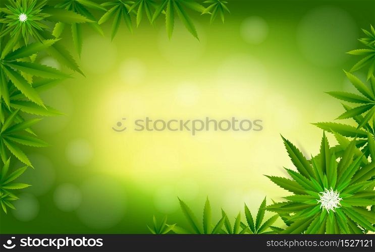Cannabis marijuana design graphics background