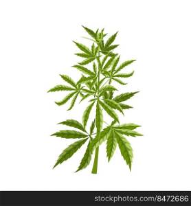 cannabis plant cartoon. marijuana hemp weed, farm flower, medicine agriculture cannabis plant vector illustration. cannabis plant cartoon vector illustration