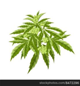 cannabis plant cartoon. marijuana hemp weed, medical farm , medicine agriculture cannabis plant vector illustration. cannabis plant cartoon vector illustration