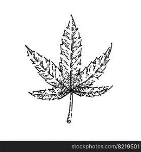 cannabis plant hand drawn vector. marijuana hemp weed, farm flower, medicine agriculture cannabis plant sketch. isolated black illustration. cannabis plant sketch hand drawn vector
