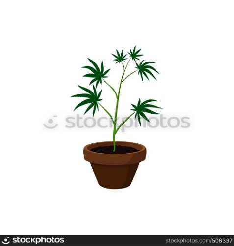 Cannabis plant in a pot icon in cartoon style on a white background. Cannabis plant in a pot icon, cartoon style