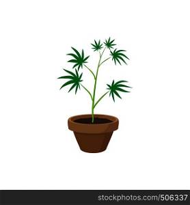 Cannabis plant in a pot icon in cartoon style on a white background. Cannabis plant in a pot icon, cartoon style