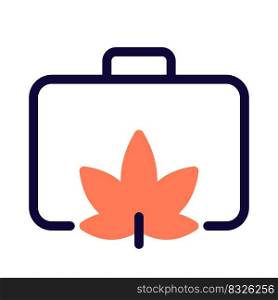 Cannabis stored in a briefcase isolated on a white background