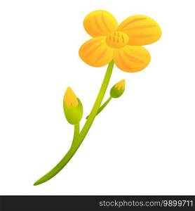 Canola yellow flower icon. Cartoon of canola yellow flower vector icon for web design isolated on white background. Canola yellow flower icon, cartoon style