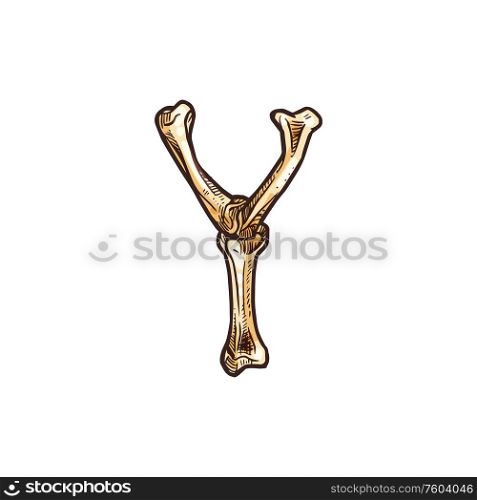 Capital letter Y isolated ABC symbol. Vector y figure made of bones, Halloween font. Y letter made of bones, isolated scary font