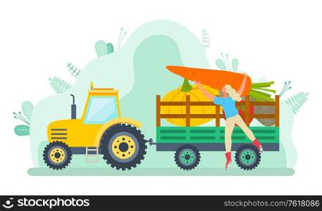Car loaded with vegetable vector, character filling tractor with gathered products. Harvesting season, transportation of food. Farmer and machine. Transportation of Harvested Vegetables Farming
