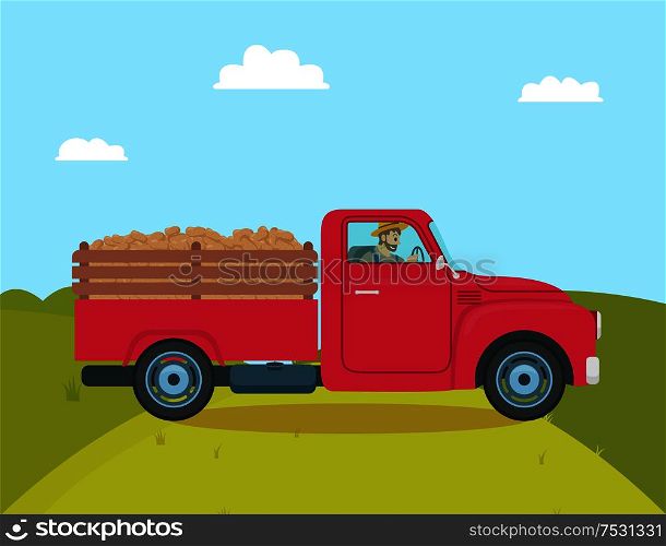 Car with trailer transporting harvested potatoes. Agriculture and vegetables harvesting, automobile with driving farmer. Harvester for veggies vector. Car with Trailer Transporting Vector Illustration