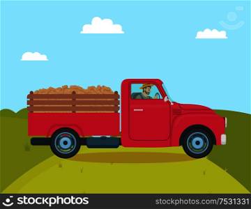 Car with trailer transporting harvested potatoes. Agriculture and vegetables harvesting, automobile with driving farmer. Harvester for veggies vector. Car with Trailer Transporting Vector Illustration