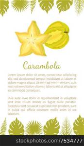Carambola or starfruit exotic fruit vector poster with text sample and palm leaves. Tropical edible food, dieting vegetarian icon full of vitamins. Carambola or Starfruit Exotic Fruit Vector Poster
