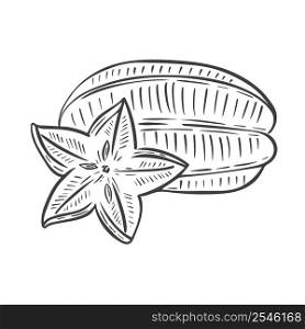 Carambola whole fruit and piece sketch. Black exotic tropical starry plan hand engraving. Isolated organic healthy food vector illustration. Carambola whole fruit and piece sketch