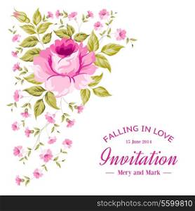 Card of color rose and text space. Vector illustration.