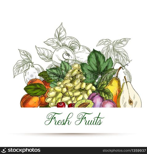 Card or poster template. Garden fruits, colored hand drawn vector illustrations.