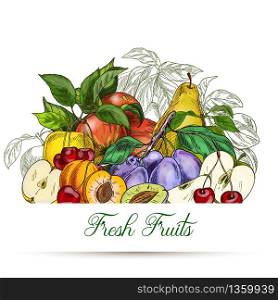 Card or poster template. Garden fruits, colored hand drawn vector illustrations.