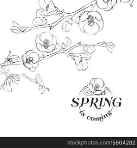 Card spring is coming - cover. Vector illustration.