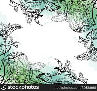 Card with a sketch of plants and grass and green watercolor stains. Vector template for labels. Mint, stevia and basil. Outline medicine herbal drawing. Useful traditional medicine.. Card with a sketch of plants and grass and green watercolor stains. Vector template for labels. Mint, stevia and basil. Outline medicine herbal drawing.