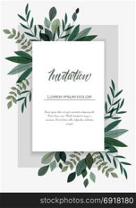 Card with branches and leaf. Vector illustration invitation card template with branches and leaf decoration
