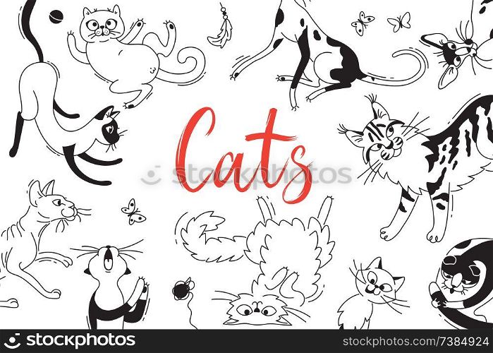 Card with playing cats of different breeds. Cat in the style doodle cartoon. Vector background.. Card with playing cats of different breeds. Cat in the style doodle cartoon. Vector background