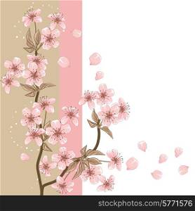 Card with stylized vector cherry blossom.. Card with stylized vector cherry blossom