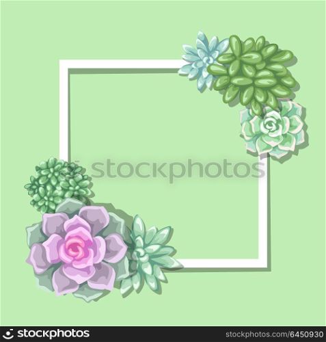 Card with succulents. Echeveria, Jade Plant and Donkey Tails. Card with succulents. Echeveria, Jade Plant and Donkey Tails.