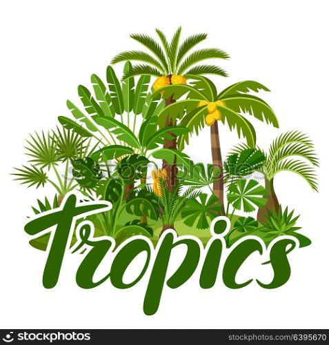 Card with tropical palm trees. Exotic tropical plants Illustration of jungle nature. Card with tropical palm trees. Exotic tropical plants Illustration of jungle nature.