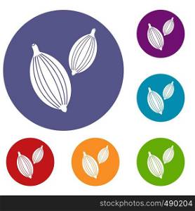 Cardamom pods icons set in flat circle red, blue and green color for web. Cardamom pods icons set