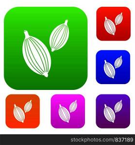 Cardamom pods set icon color in flat style isolated on white. Collection sings vector illustration. Cardamom pods set color collection