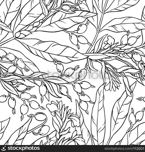 cardamom seamless pattern. cardamom plant seamless pattern on white background