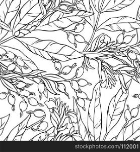cardamom seamless pattern. cardamom plant seamless pattern on white background