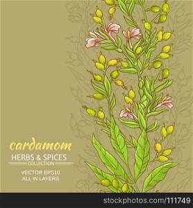 cardamom vector background. cardamom branches vector pattern on color background