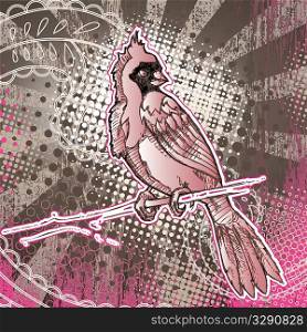 Cardinal bird on grunge background.