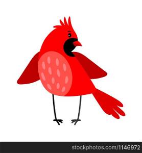 Cardinal colorful cartoon bird icon isolated on white background, vector illustration. Cardinal bird icon isolated on white