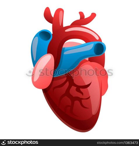 Cardiology human heart icon. Cartoon of cardiology human heart vector icon for web design isolated on white background. Cardiology human heart icon, cartoon style
