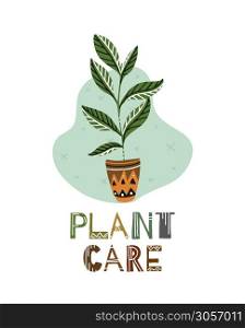 Caring for home plants. Ward over flowers. Ficus with lettering and with a pattern. Plant care. Boho flat illustration for cards, banners, articles and your creativity.. Caring for home plants. Ward over flowers. Ficus with lettering and with a pattern. Plant care. Boho flat illustration