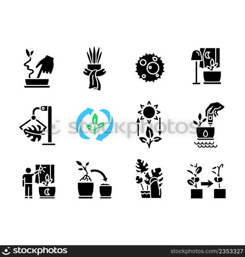 Caring for houseplants black glyph icons set on white space. Potted plants growing. Correct watering and light. Silhouette symbols. Solid pictogram pack. Vector isolated illustration. Caring for houseplants black glyph icons set on white space
