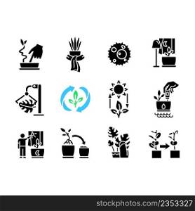 Caring for houseplants black glyph icons set on white space. Potted plants growing. Correct watering and light. Silhouette symbols. Solid pictogram pack. Vector isolated illustration. Caring for houseplants black glyph icons set on white space
