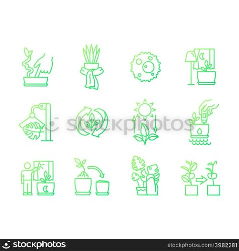 Caring for houseplants gradient gradient linear vector icons set. Potted plants growing. Correct watering and light. Thin line contour symbol designs bundle. Isolated outline illustrations collection. Caring for houseplants gradient gradient linear vector icons set