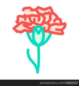 carnation flower color icon vector. carnation flower sign. isolated symbol illustration. carnation flower color icon vector illustration
