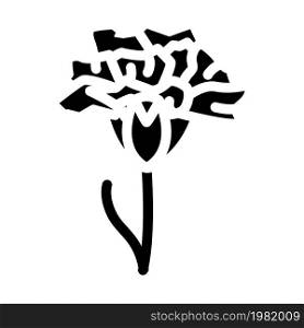 carnation flower glyph icon vector. carnation flower sign. isolated contour symbol black illustration. carnation flower glyph icon vector illustration