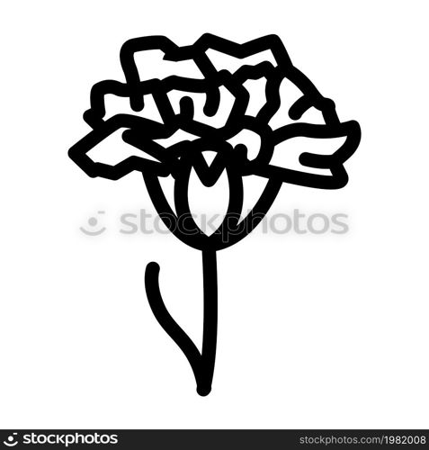 carnation flower line icon vector. carnation flower sign. isolated contour symbol black illustration. carnation flower line icon vector illustration