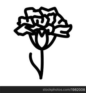 carnation flower line icon vector. carnation flower sign. isolated contour symbol black illustration. carnation flower line icon vector illustration