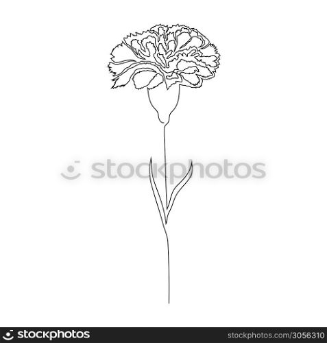 Carnation flower on white background. One line drawing style.. Carnation flower on white