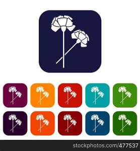 Carnation icons set vector illustration in flat style in colors red, blue, green, and other. Carnation icons set