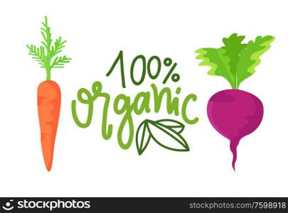 Carrot and beet organic food, poster with vegetables, natural product, vegetarian emblem in flat design style, agriculture fresh plant, marketing vector. Organic Food, Carrot and Beet Vegetables Vector