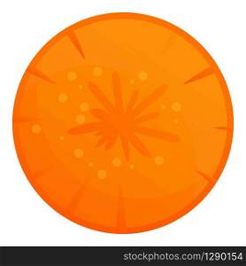Carrot circle icon. Cartoon of carrot circle vector icon for web design isolated on white background. Carrot circle icon, cartoon style